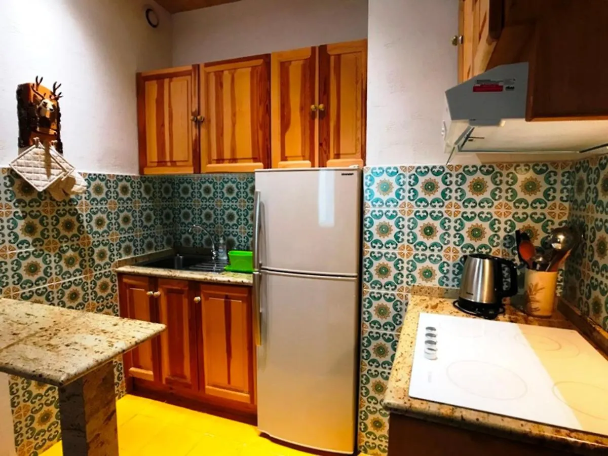 Appartement Chamonix-Mont-Blanc, 2 pièces, 4 personnes - FR-1-507-67 0*, Chamonix